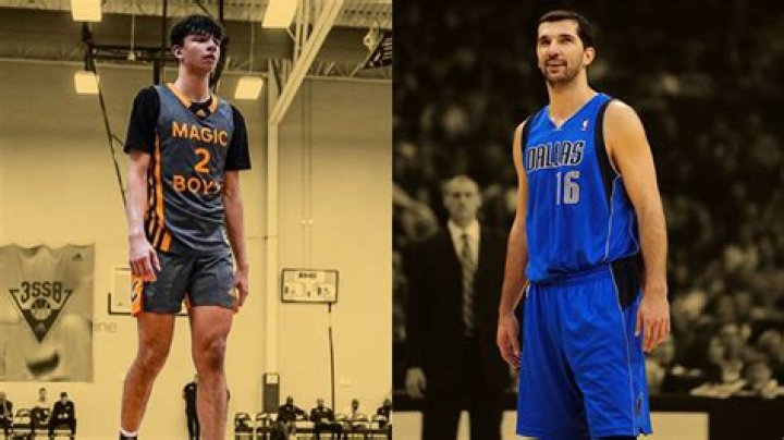 Andrej Stojakovic Height, Weight, Net Worth, Age, Birthday, Wikipedia, Who, Instagram, Biography